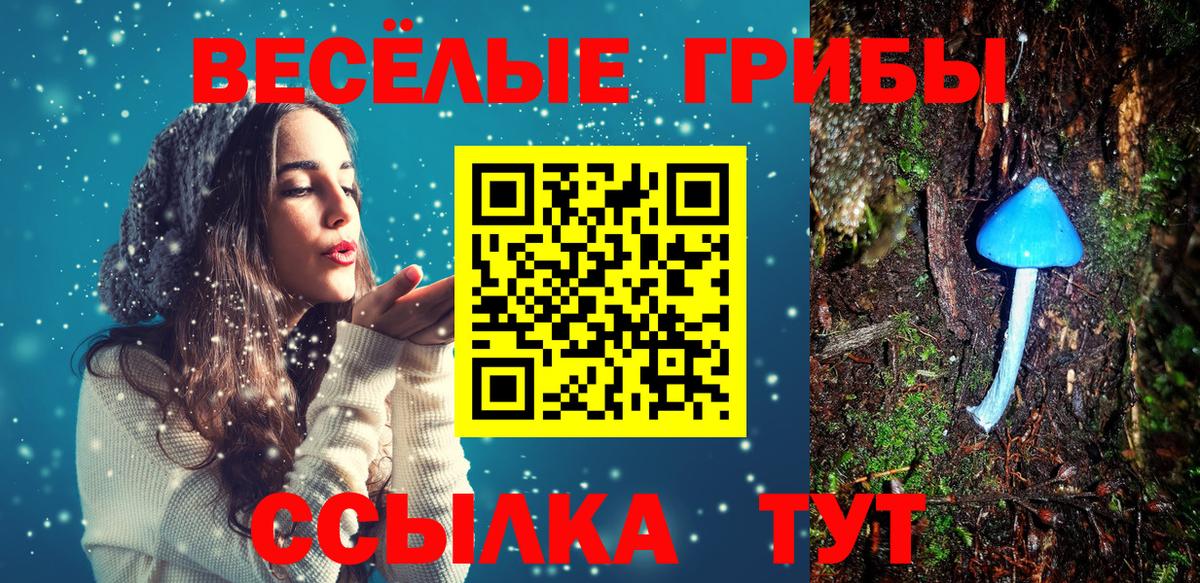 Галлюциногенные грибы Psilocybe Кинель